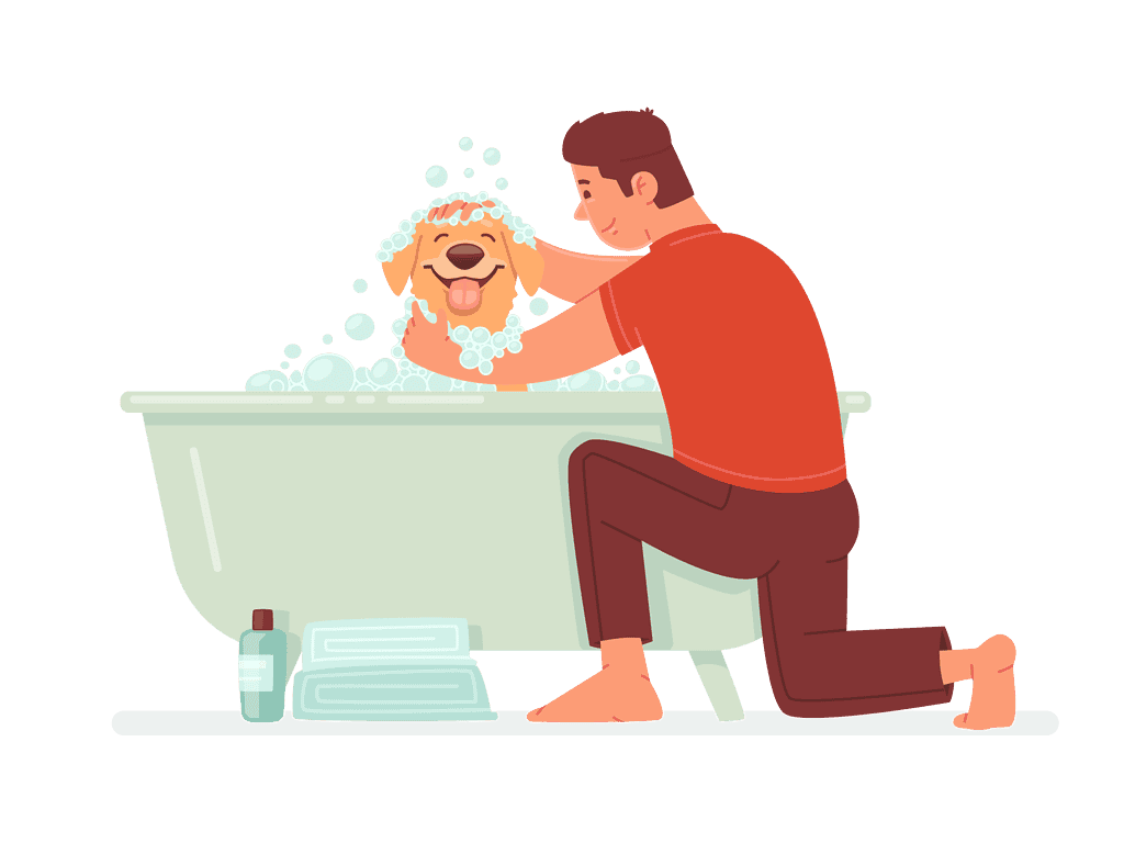 Hund in der Badewanne wird gewaschen