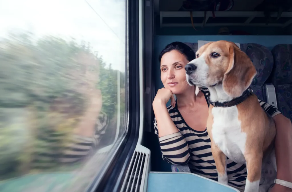 Viele Hunde fahren gerne Zug. Aber beachte die Vorschriften!